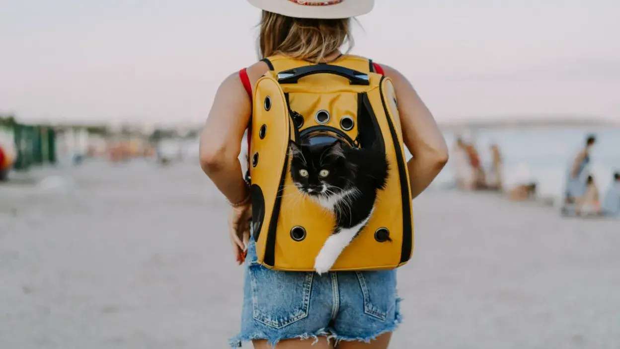 Mulher de costas com mochila amarela para transportar gato preto e branco numa praia.